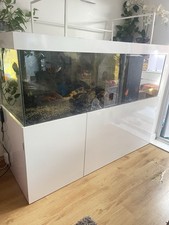 Extra large aquarium for sale  BASILDON