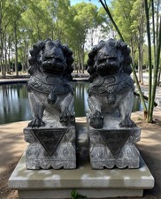 Chinesische tempellöwen wäch gebraucht kaufen Chinesische tempellöwen wäch gebraucht kaufen  Hilpoltstein