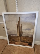 Pottery barn cactus for sale  Lake Elsinore