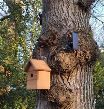 Bird nest box for sale  ROMSEY