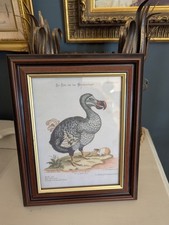 Vintage dodo extinct for sale  PETERBOROUGH