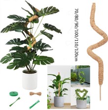 Moss pole indoor for sale  MANCHESTER