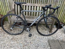 Focus mares cross for sale  NEWPORT PAGNELL