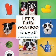 Let find yaya for sale  Denver