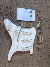 Strat pacifica type for sale  SPALDING