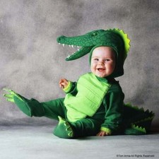 Tom arma alligator for sale  Olympia