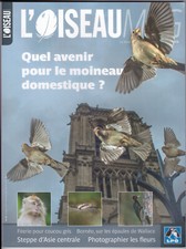 Oiseau mag 130 d'occasion  Tours-