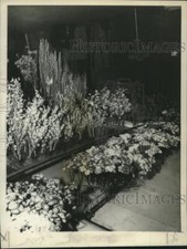 1975 press photo for sale  Memphis