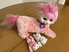 Kitty surprise 2017 for sale  Groveland