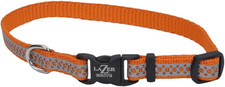 Pet lazer brite for sale  Glen Cove