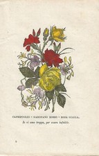 Stampa antica linguaggio usato  Lecco