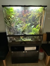 Exo terrarium 90x90x45 gebraucht kaufen Exo terrarium 90x90x45 gebraucht kaufen  Kempten (Allgäu)
