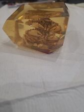 Crab amber like for sale  HULL