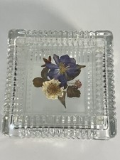 Pressed petals floral for sale  Hudsonville