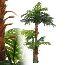 Cycas palme künstlich gebraucht kaufen Cycas palme künstlich gebraucht kaufen  Strausberg