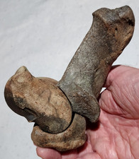 Set three bison for sale  USA