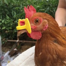 Chicken anti peck for sale  BRADFORD
