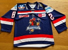 Iserlohn roosters fan gebraucht kaufen  Hemer