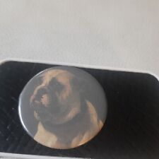 Old english bulldog for sale  WITHAM