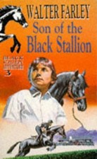 Son black stallion for sale  AMMANFORD