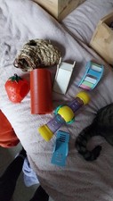 Hamster toys for sale  MAIDSTONE