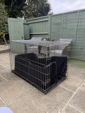 Lords labradors heavy for sale  WATFORD
