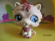 Petshop dog chow d'occasion  Expédié en Belgium