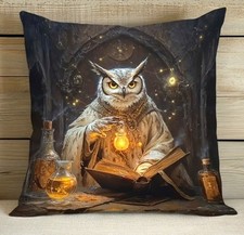 Housse coussin alchimiste d'occasion  Cergy-