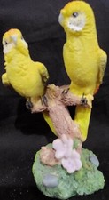 Yellow parakeet parrot for sale  Riverview