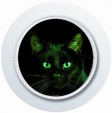 Night cat car for sale  PAIGNTON