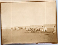 Maroc mogador ânes d'occasion  Pagny-sur-Moselle