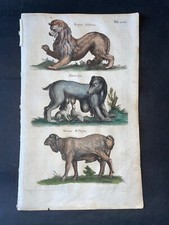 Merian monster wolf d'occasion  Paris-