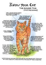 Ginger cat tea for sale  UK