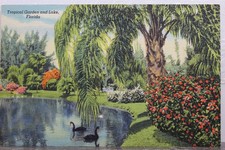 Florida tropical garden for sale  Wilmington