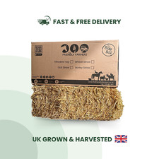 Oat straw bale for sale  CANTERBURY