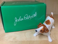 jack russell puppy for sale jack russell puppy for sale EDINBURGH