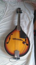 Stretton payne sunburst for sale  WASHINGTON