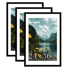24x36 picture frame for sale  Minneapolis
