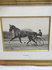Rare photo original d'occasion  Segonzac