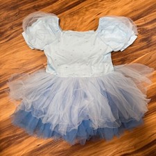 Girls blue tutu for sale  Harriman