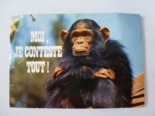 Conteste singe chimpanze d'occasion  Marseille IV