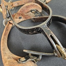 Champion turf riding for sale  San Antonio