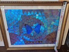 Tableau art ailes d'occasion  Nice-