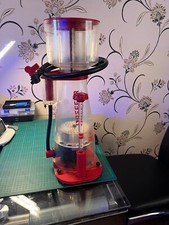Red sea reefer for sale  BLACKPOOL