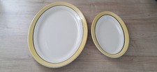 Plats service vichy d'occasion  Aigueblanche