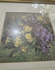 Vernon ward flower for sale  DERBY