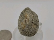Real dinosaur perminerlized for sale  Belleville