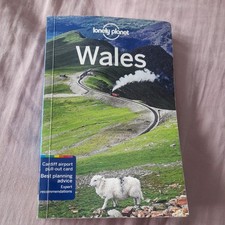 Lonely planet wales usato  Spedire a Italy