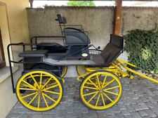 Kutsche kühnle marathonwagen gebraucht kaufen  Waldshut-Tiengen