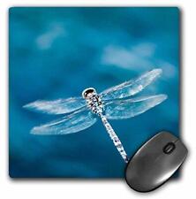 Rose dragon fly for sale  Denver